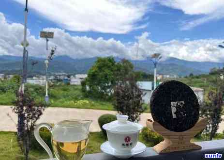 冰岛老寨古树茶炒作-冰岛老寨古树茶口感