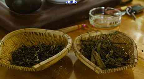 勐库的冰岛茶有哪几个牌子好，冰岛茶香，探寻勐库好茶：探究冰岛茶市场中的知名