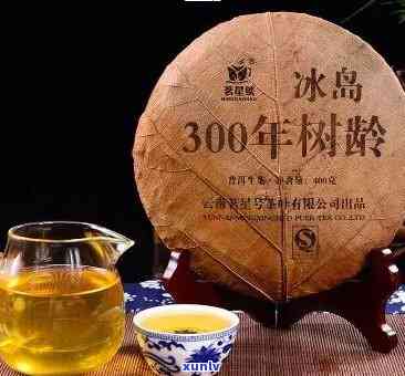 冰岛900年古树茶价格表，揭秘冰岛900年古树茶的价格表！