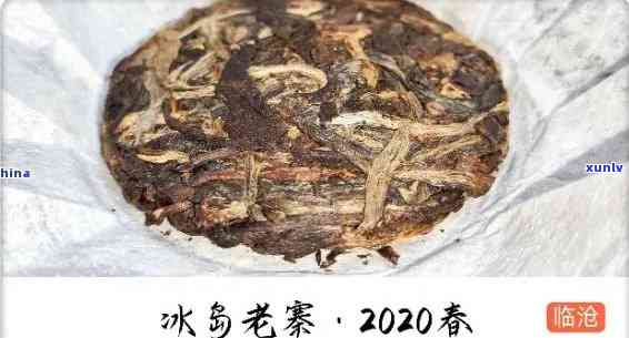 冰岛老寨秋大古树茶-冰岛老寨古树秋茶价格