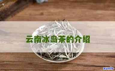 云南冰岛茶是红茶吗-云南冰岛茶是红茶吗还是绿茶