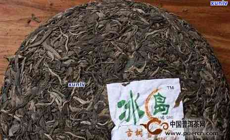 哪里的冰岛茶？比较各大产区、和价格，寻找最正宗的冰岛茶厂