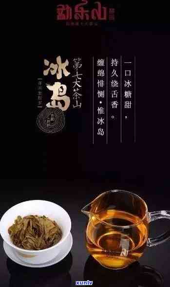 冰岛茶是甜的吗？探索其独特口感与味道