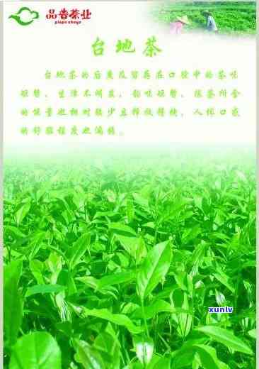 龙润普洱茶最新价格行情表