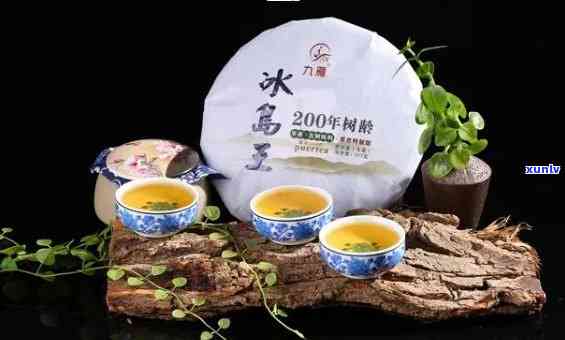 双江冰岛茶：厂家、价格、茶城及普洱茶全面解析