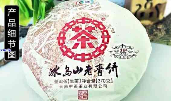 中茶冰岛山青饼怎么样，深度解析：中茶冰岛山青饼的口感与品质如何？