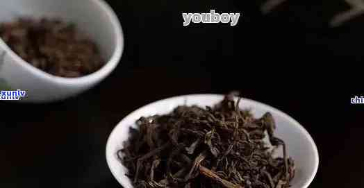 冰岛茶有熟茶吗，探寻冰岛茶的秘密：是否有熟茶品种存在？