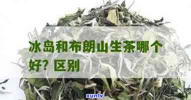 冰岛和布朗：哪个茶更美味？探索它们的区别和特点