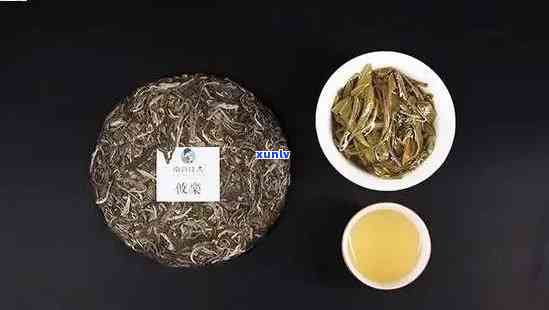 冰岛茶与布朗茶：全面比较和区别