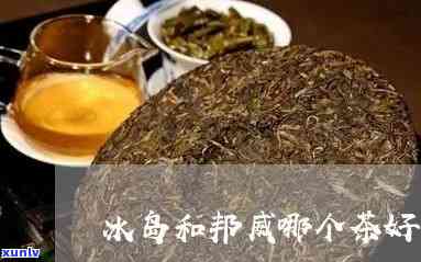 冰岛和布朗哪个茶好-冰岛和布朗哪个茶好喝