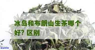 冰岛和布朗哪个茶好-冰岛和布朗哪个茶好喝