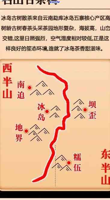 云南冰岛茶山地图：揭示云南冰岛茶区位置、所属茶山、产地及小镇项目详情，包括投资方和价格信息。