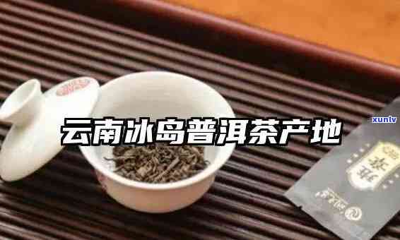 云南冰岛茶地理位置-云南冰岛茶产地在哪里