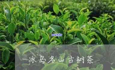 15年后的普洱茶是否仍然适宜饮用？如何判断普洱茶的新度与品质？