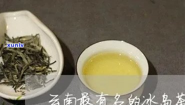 云南最有名的冰岛茶是什么，探寻云南之最：揭秘最有名的冰岛茶