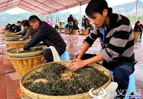 勐海县古茶源茶厂冰岛系列：茶王、古树茶、生态古树及历年价位，一应俱全，位于云南西双版纳勐海县古茶园。