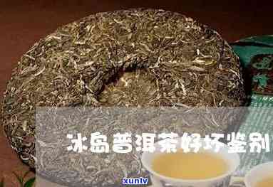 冰岛茶饼怎么分辨好坏，教你如何分辨冰岛茶饼的优劣