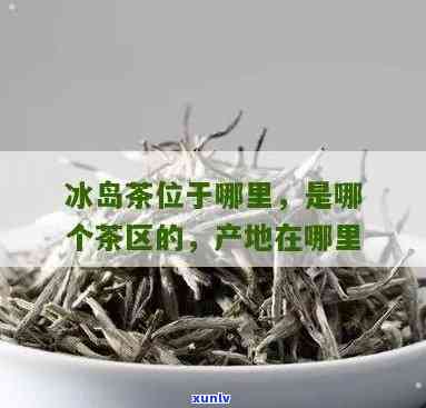 冰岛茶属于哪个茶区，揭秘：冰岛茶属于哪个茶区？