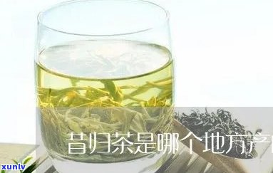 昔归茶叶属于什么茶-昔归茶属于什么茶类