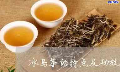 冰岛茶有什么功效，探索冰岛茶的神奇功效！