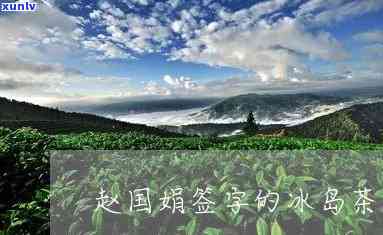 2013年冰岛熟茶价格，2013年冰岛熟茶价格：回顾当年茶叶市场波动