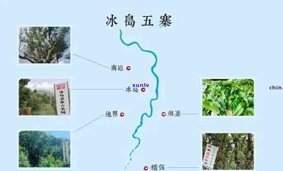 冰岛是哪里的茶，探寻神秘北之旅：揭秘冰岛茶的起源和魅力