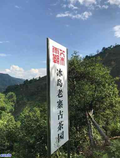 冰岛古茶园位置揭晓：中国云南省临沧市双江拉祜族佤族布朗族乡邦丙村冰岛老寨！