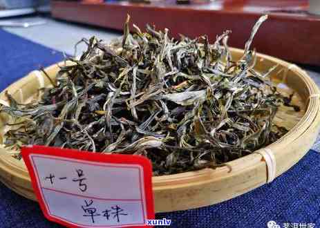 俸字号冰岛茶的价格-俸字号冰岛茶价格多少