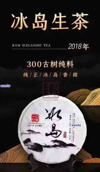 冰岛古树茶：哪个牌子口感更佳？探索与产区特性