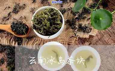 云南冰岛茶块怎么泡-云南冰岛茶块怎么泡好吃