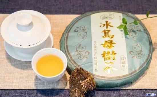 冰岛茶的特点及功效，探索冰岛茶的独特特点和神奇功效