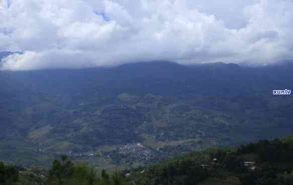 云南冰岛属于哪个茶山，探寻云南冰岛：揭秘其所属的茶山