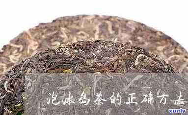 正确泡冰岛熟茶 *** -正确泡冰岛熟茶 *** 视频