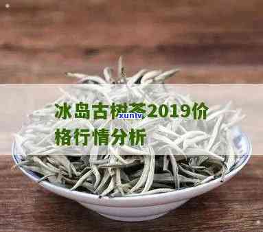 冰岛古树茶2019价格行情：全面解析与最新价格表