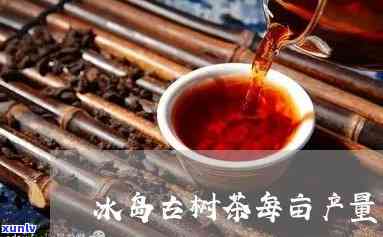 冰岛古树茶产量如何-冰岛古树茶产量如何