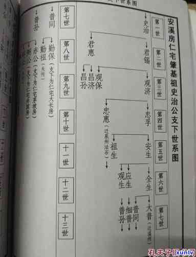 黄氏家簇：家谱、群网与家族地位的全面解析