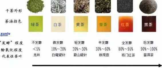 煮着喝的茶叶有哪些种类，探究煮着喝的茶叶种类及其特点