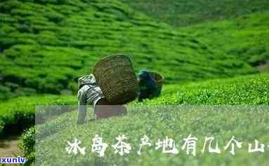 冰岛茶属于哪个山，揭秘：冰岛茶的产地，它属于哪座山？