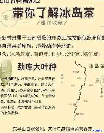 冰岛茶属于哪个山，揭秘：冰岛茶的产地，它属于哪座山？