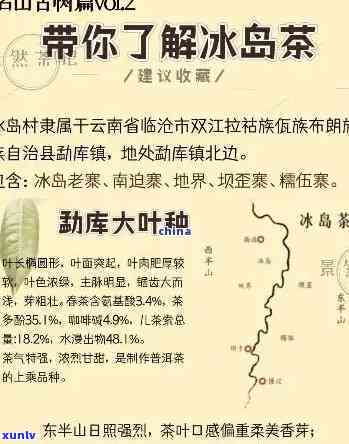 大红袍与普洱茶：全面比较及优劣解析，助你轻松选择！