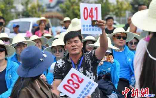 双江冰岛茶价格：从源头到市场全解析