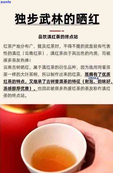 云南冰岛红是什么茶-云南冰岛红茶价格表