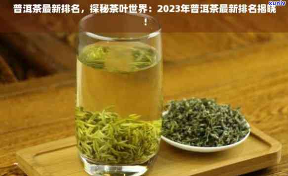 加盟茶叶排名，揭秘茶叶市场：2023年最新加盟茶叶排行榜