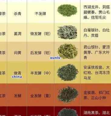 怎么区分茶叶的品种，茶艺初学者必看：如何区分不同种类的茶叶？