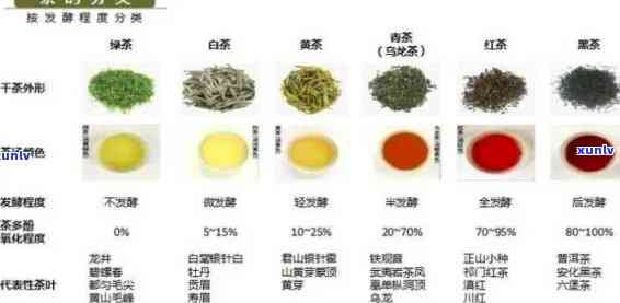 怎么区分茶叶的品种，茶艺初学者必看：如何区分不同种类的茶叶？