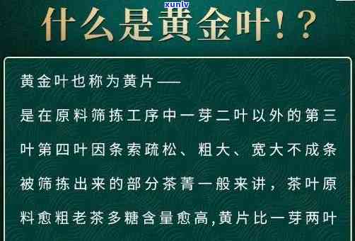 冰岛黄金叶茶叶功效，探索冰岛黄金叶茶叶的神奇功效！