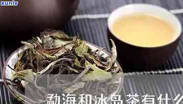 冰岛茶和茶叶的区别-冰岛茶和茶叶的区别是什么