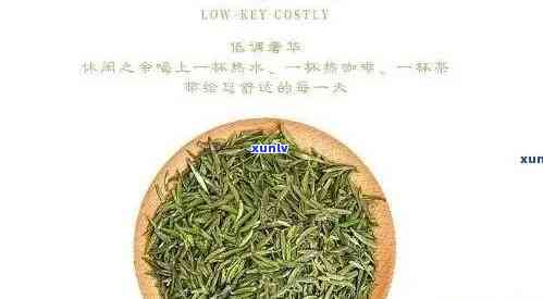 十大茶叶店排行榜最新：完整榜单及详细排名