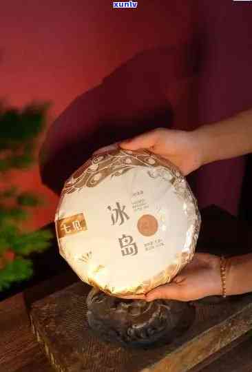 2006年份勐海金芽普洱熟茶市场价格分析