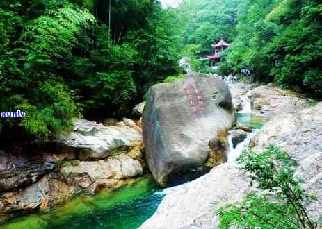 黄山翡翠旅游度假村，探秘黄山翡翠：享受宁静与自然的度假体验